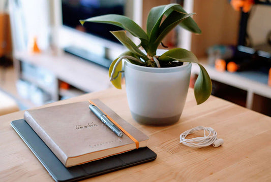 What's the Best Way to Borrow Free E-Books?